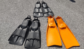 fins of various colours