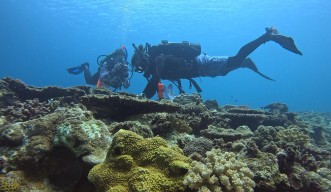 科学機器を携えてサンゴ礁を調査するスキューバダイバー2人が映った水中写真。手前には色鮮やかなサンゴが広がっている。