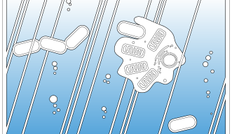 原始スープに浮かぶ原始的生命のイラスト。一つの細胞が別の細胞を取り込む様子を示している。