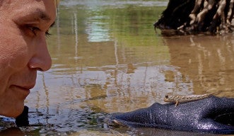 Dr. Ken Maeda looking at a mudskipper that has landed on his hand in Okinawa. Courtesy of Shotaro Maeda. 