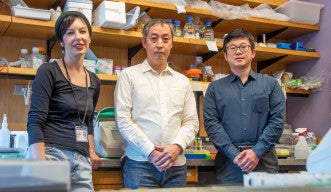 Team Photo: Riboswitch–Mediated Regulation of AAV Re