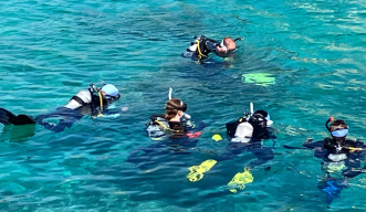 The diving image Photo credit –  Azusa Kinjo