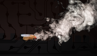 In the foreground, a fly sniffs at an airborne scent. Abstract circuitry can be seen in the background 