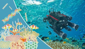 Diving deeper into our oceans: Underwater drones open new doors for global coral reef research