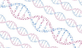 n illustration of DNA’s double helix structure formed by schools of swimming fish.