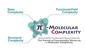 Concept of the pi-molecular complexity