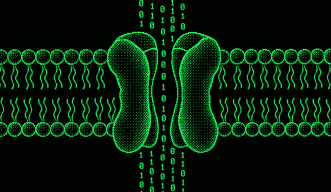 Shown in the classic green and black colors of old coding computers, a cell membrane with embedded BK channel is illustrated. 