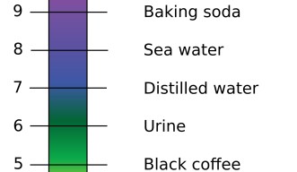 pH Values of Common Substances