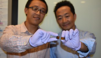 作製されたばかりのペロブスカイト太陽電池を手に持つジャン・イェン博士（左）。シェンハオ・ワン博士（右）が持っている試作品からも分かるように、劣化したMAPbI3ペロブスカイト太陽電池はかなり変色している。