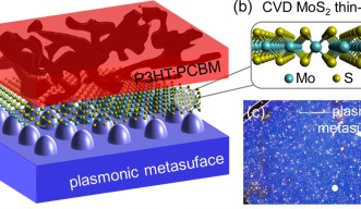 This figure depicts the organic semiconductor, in this case P3HT:PCBM in red, with a 2D MoS2 layer on a silver plasmonic metasurface. 