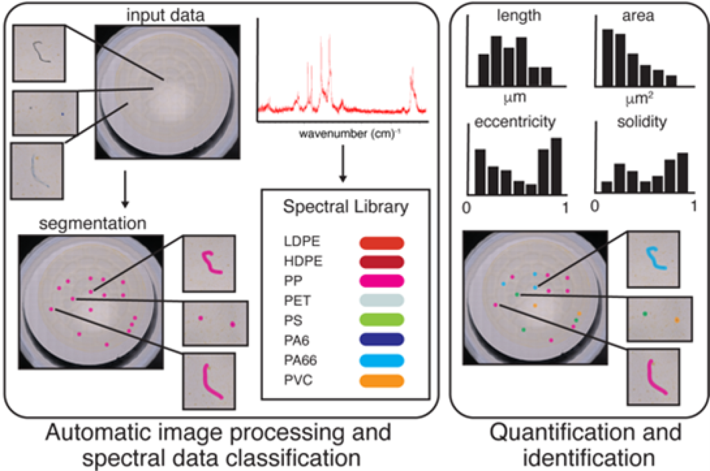 Plastitective — Fast and Efficient Microplastic Detection | Okinawa ...