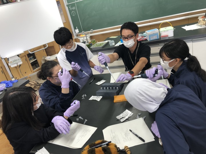 Junior hight school students doing an experiment with a scientist