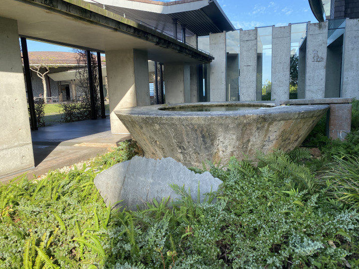 Water basin surrounded by green