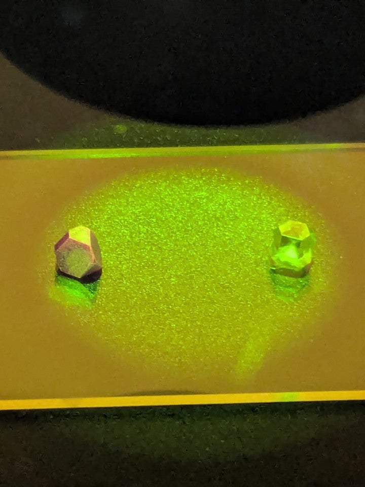 POC project (95 - de Vries): Figure 2