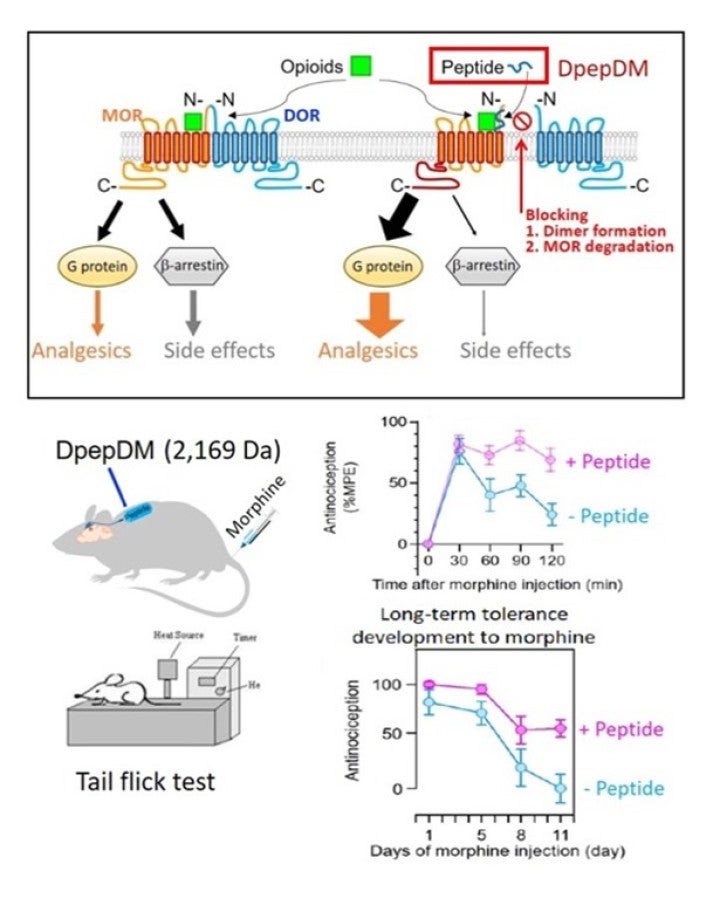 TPF 61: Figure 1