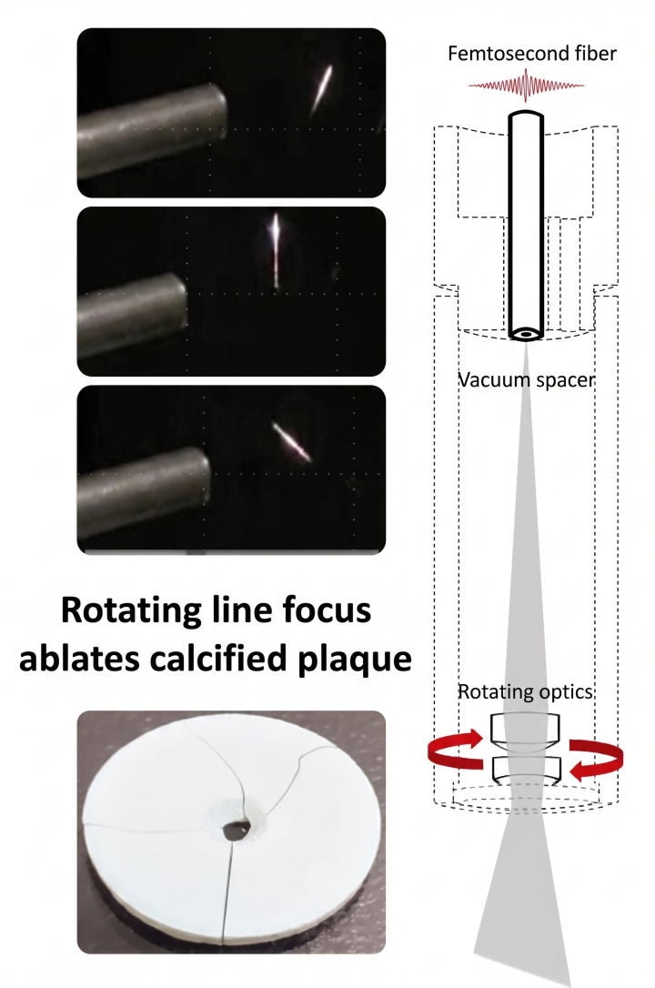 TPF 50 - Victoras: Figure 2