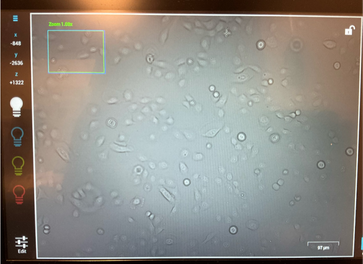 POC project (93 - Taoufiq): figure 1