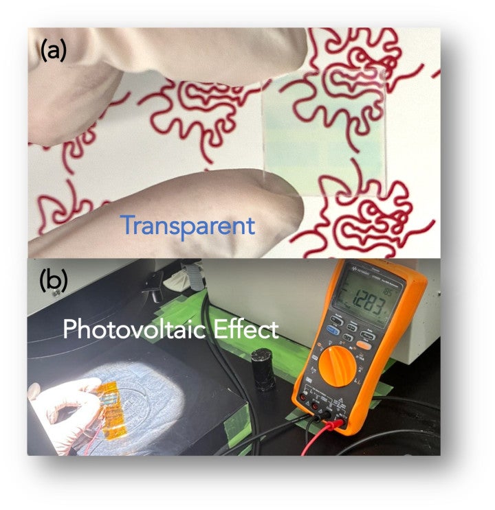 POC project (94 - Ono) Figure 2