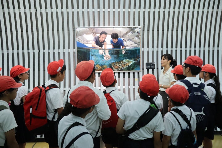 Tour for Elementary School