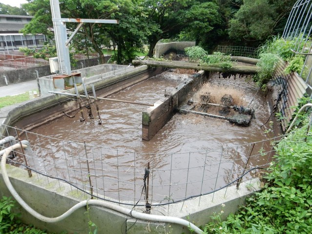 Aerated wastewater
