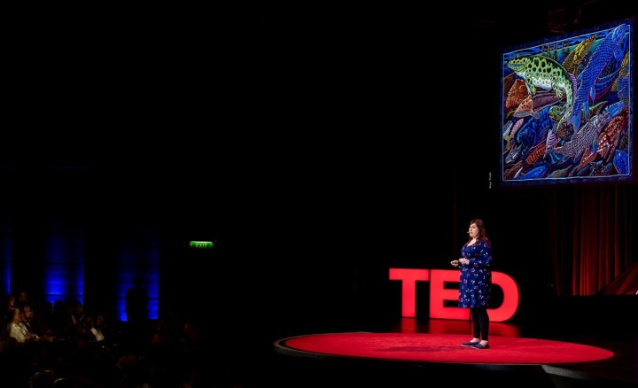 Lauren Sallan on the TED stage