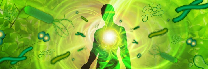 OIST and Corundum Systems Biology to Jointly Establish Fully Automated Multi-omics & Microbiome Data Analysis Lab