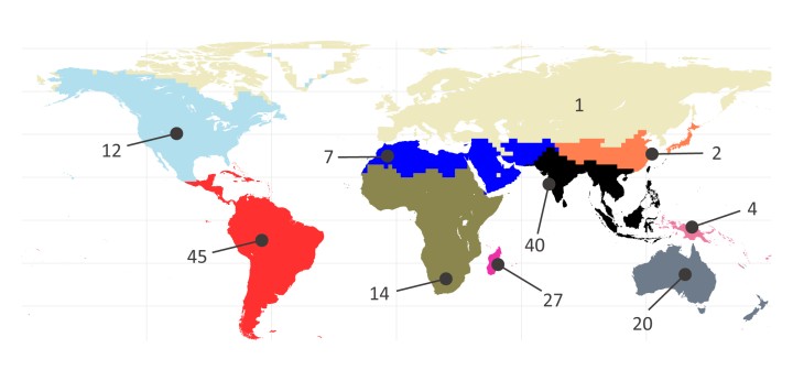 The researchers collected samples of drywood termites from around the world. The numbers listed on this map are the number of samples collected from each area.