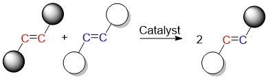 The olefin metathesis reaction produces new carbon-carbon double bonds by breaking the original double bonds and regenerating new ones.