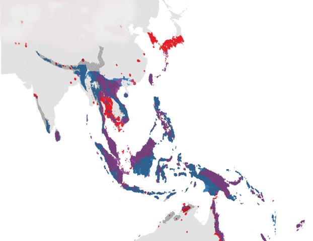This map highlights ant biodiversity centers in Asia—areas that harbor many ant species with small ranges. The different colors indicate how the importance of each region may change with future research around the globe. Red areas are predicted to decrease in importance, purple areas will remain among the most important regions even after more areas are studied, and blue indicates areas that should be targets for exploration as they are predicted to harbor hidden diversity. This is a modified version of a f