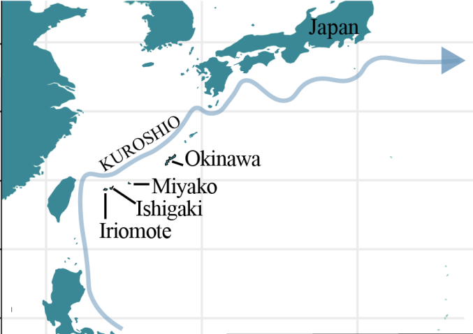 The researchers looked at how connected the mangrove forests are across four of the Ryukyu Islands—the Okinawa main island, Miyako, Ishigaki, and Iriomote.
