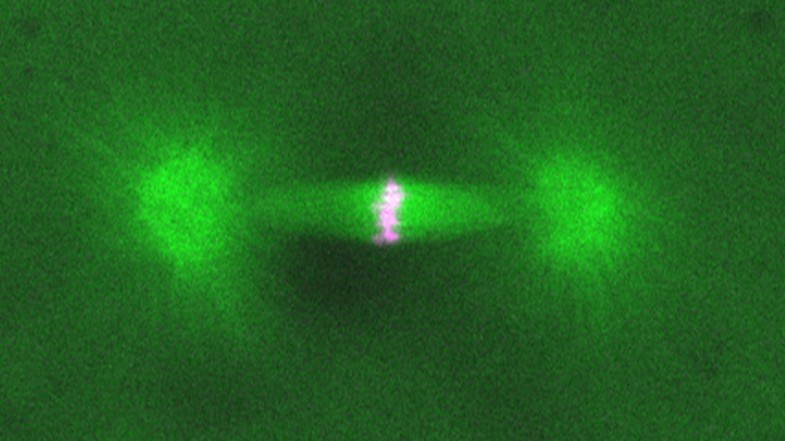 Kiyomitsu unit_spindle image