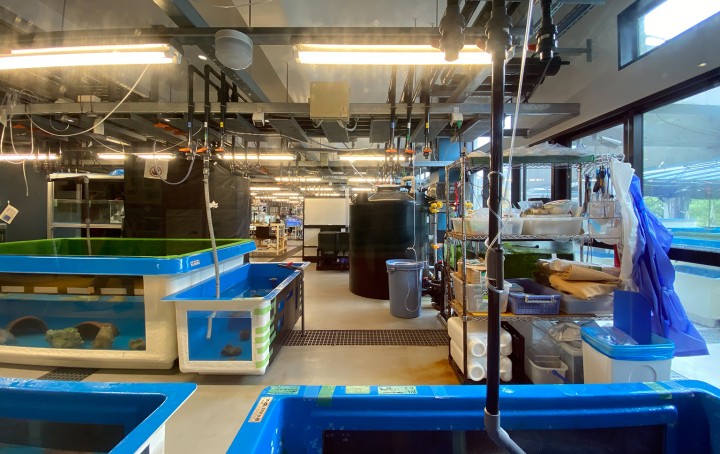 Marine science station interior