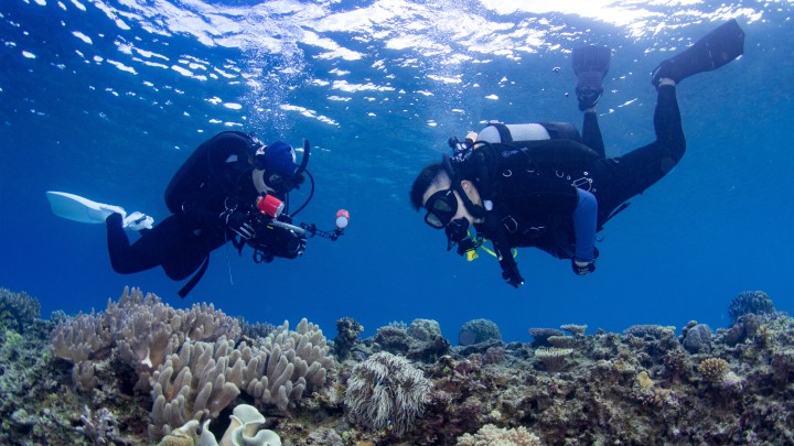 Members of the Ravasi Unit scuba diving