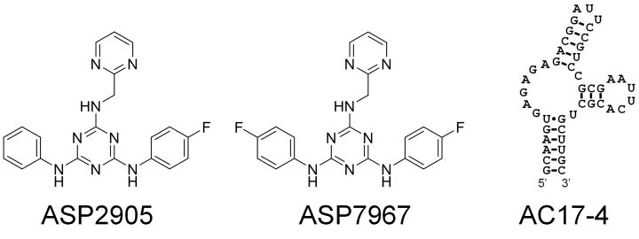 Molecular structure of compounds and nucleotide sequence of the newly developed RNA aptamer