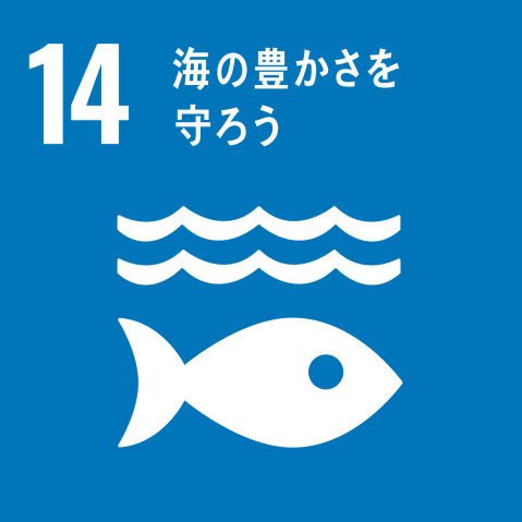持続可能な開発目標14 海の豊かさを守ろう