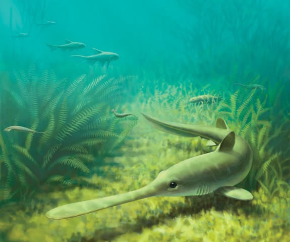 A 310 Million Year Old River Delta