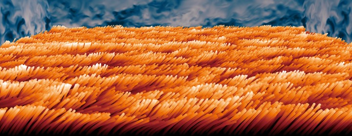 Turbulence over a Hairy Surface