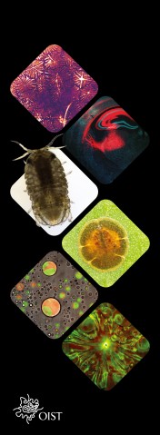 vertical banner with 6 images of science