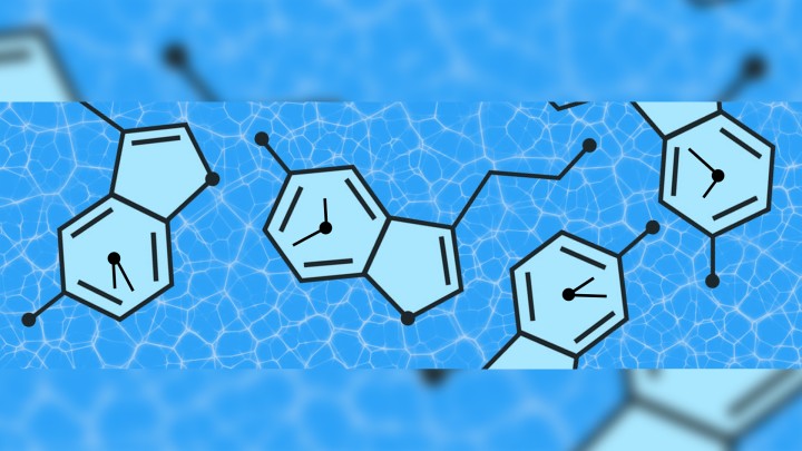 serotonin cover image final