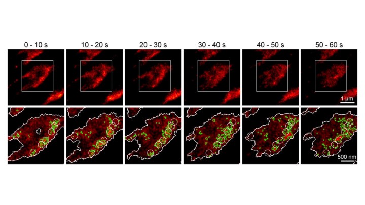 図3 Okinawa Institute of Science and Technology OIST