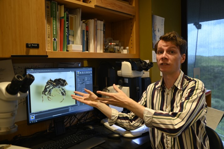 nvironmental Science and Informatics Section (OIST) staff member Jake Lewis is working on taxonomy and evolution of weevils
