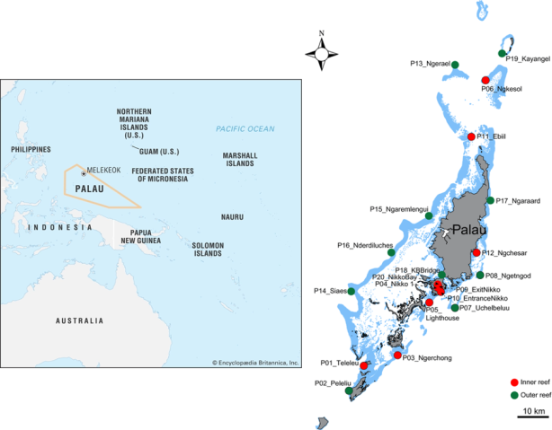 パラオの位置と周辺地域を示す地図