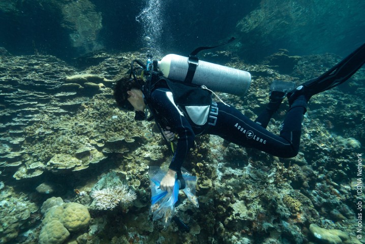 ニッコー湾のサンゴ礁で標本採取を行う研究者