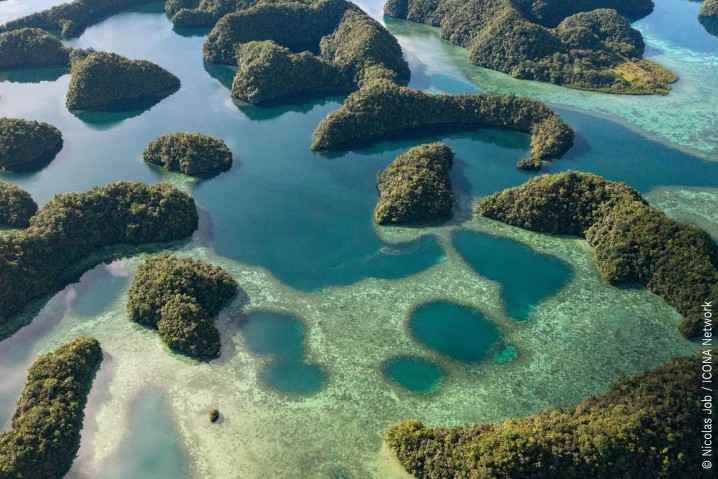 An aerial view of Nikko Bay in Palau, an example of a natural analogue
