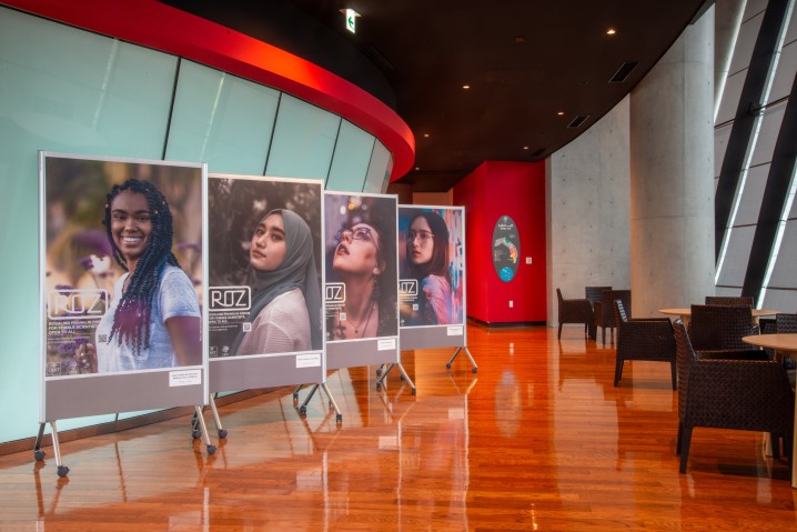 Roz poster exhibition at Lab 4