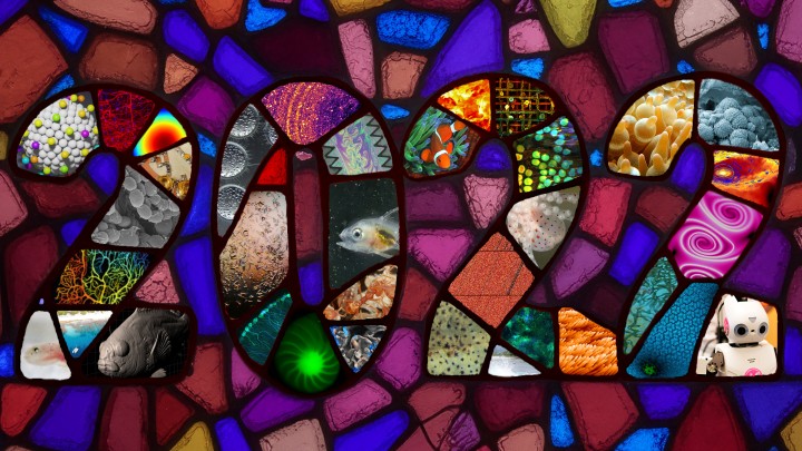 FY2022 Annual Report banner