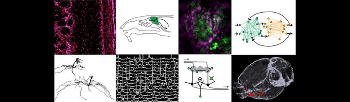 Sensory and Behavioural Neuroscience Unit hero image with black and white square