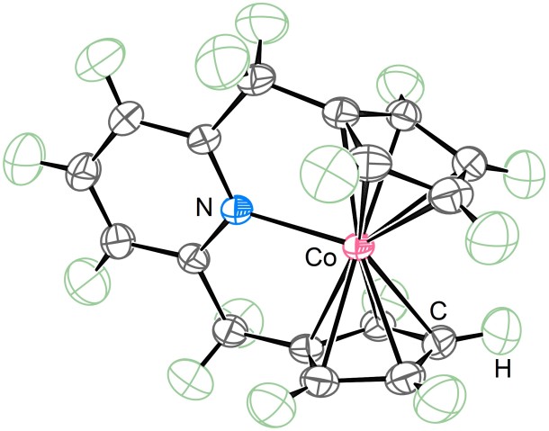 窒素(青)、コバルト(赤)、水素(緑)、炭素(灰色)原子。 