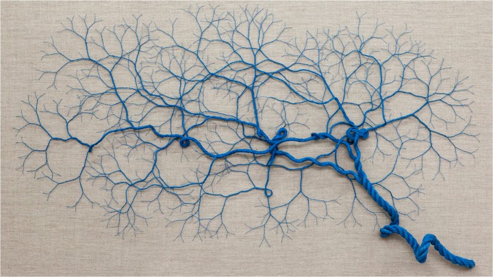 Blue strings spreding like a tree