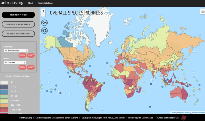 "overall species richness" world map